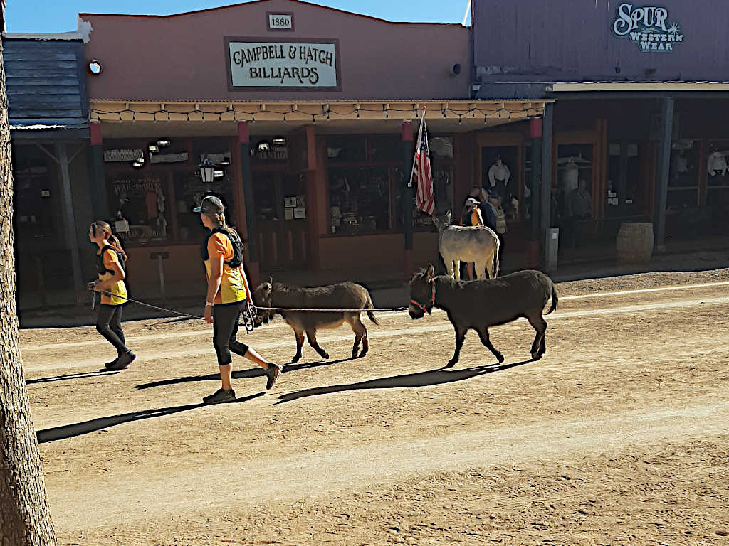 Two women leading donkeys on leashes along a dirt street in a western-style town, with storefronts labeled 'Campbell & Hatch Billiards' and 'Spur Western Wear' in the background.