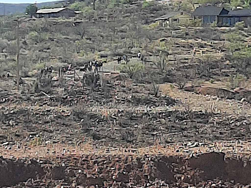 View of a rugged desert landscape with sparse vegetation, a group of people and donkeys in the middle distance, and buildings on a hillside in the background.