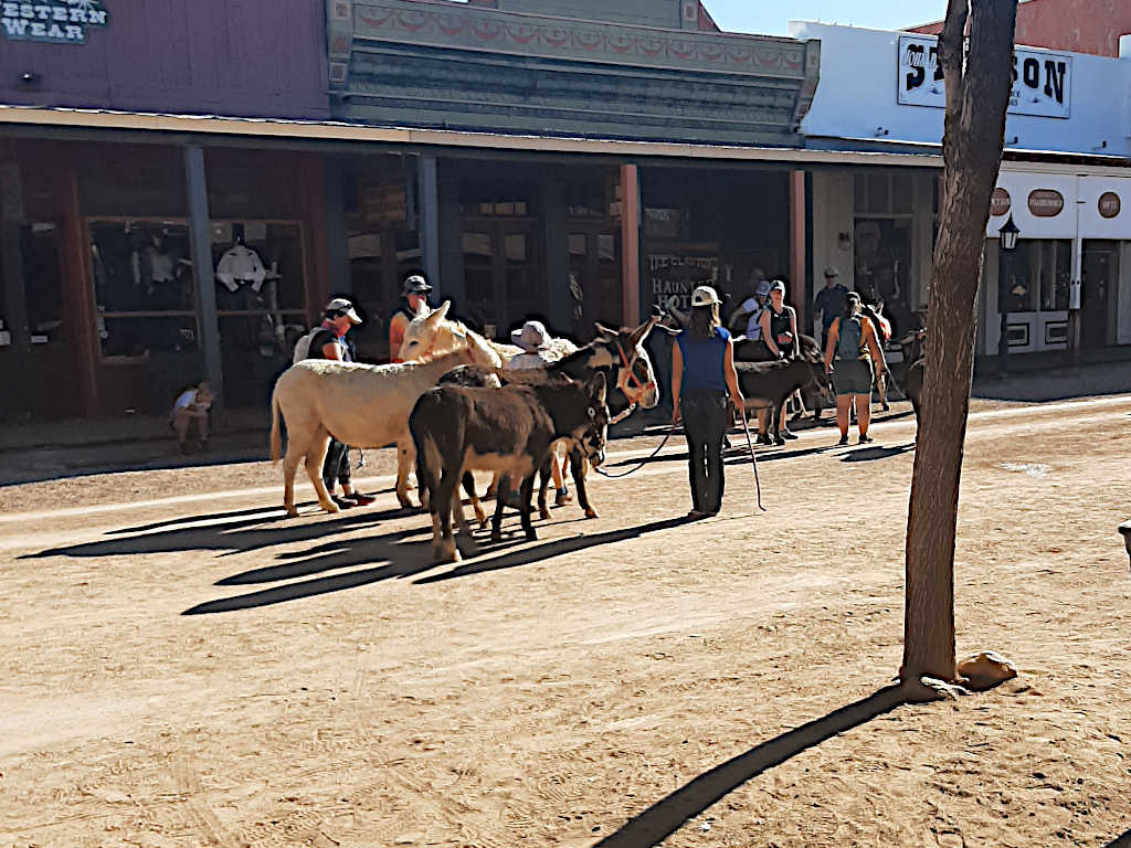 Small group of people with donkeys gathered on a dirt street in a western-style town, with storefronts labeled 'Spur Western Wear' and 'Stetson Quality Hats' in the background.