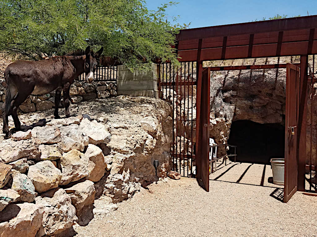 Outdoor scene featuring a donkey standing on rocky terrain near the entrance to a mine, with metal gates and desert trees in the background.